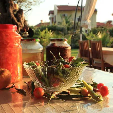 Gocek Arion 3* Göcek