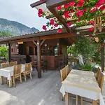 Gocek Arion Гёчек