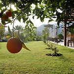 Gocek Arion 3* Гёчек