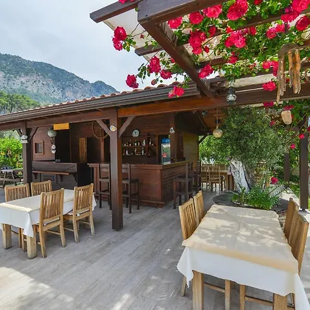 Gocek Arion ギョジェク