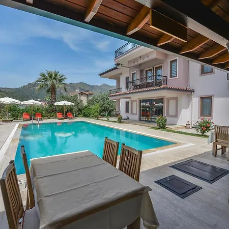Gocek Arion 3*