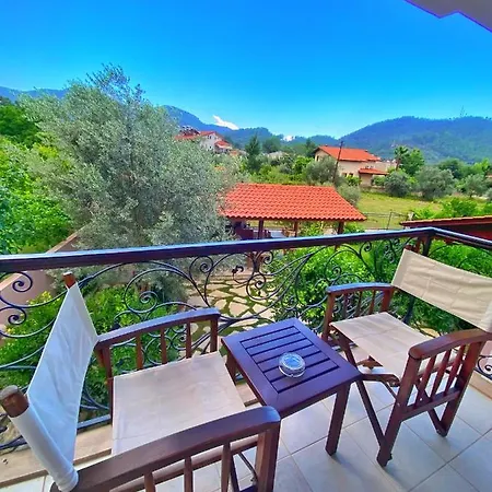 Gocek Arion ギョジェク