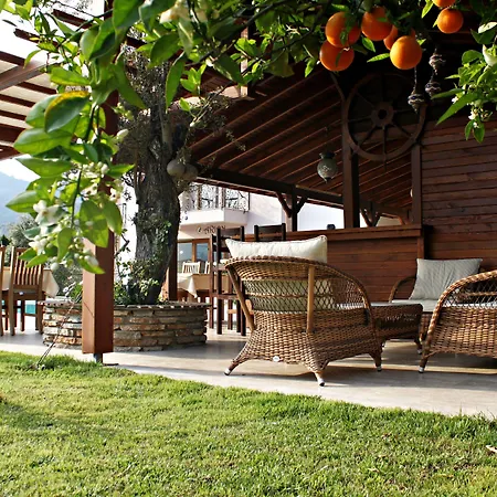 Gocek Arion 3*