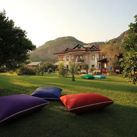 Gocek Arion 3*