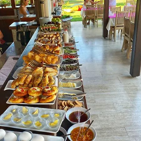 Gocek Arion 3*