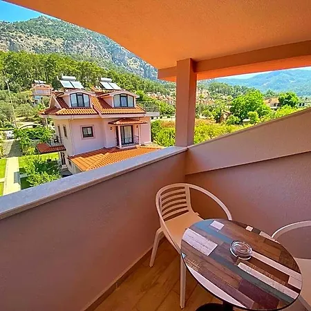 ホテル Gocek Arion 3*