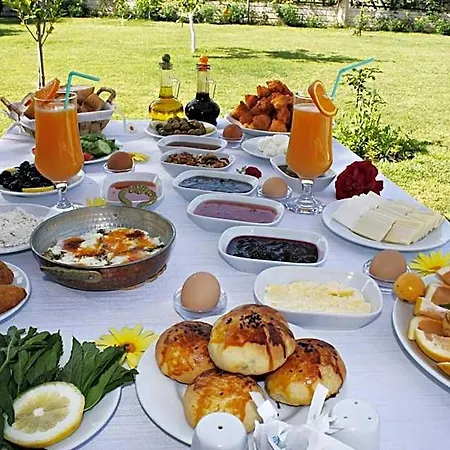 Gocek Arion 3* ギョジェク