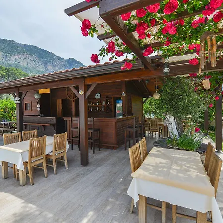 Gocek Arion 3*