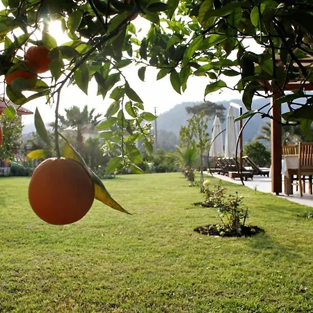 Gocek Arion 3* גוג'ק