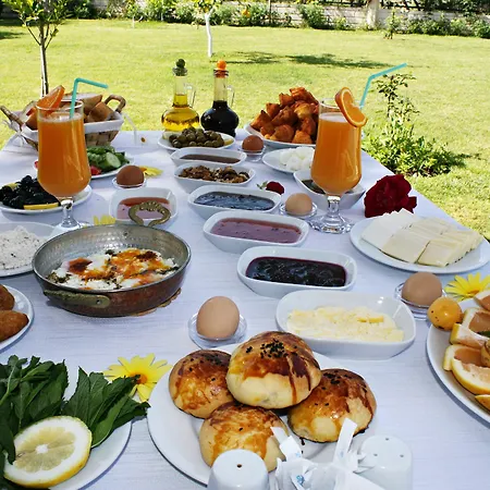 Gocek Arion מלון 3*
